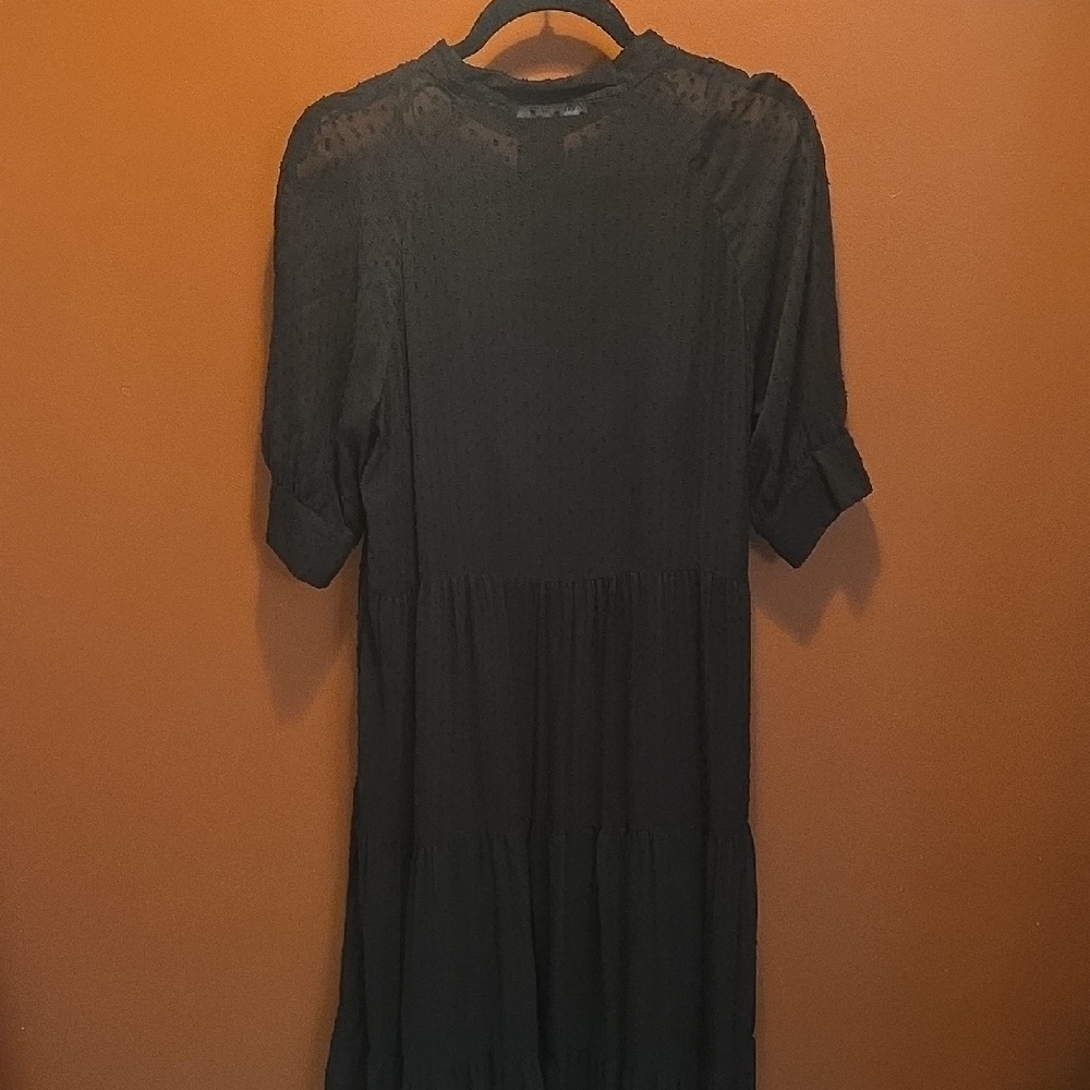 Zara Swiss Dot Long Sleeve Tiered Smocked Maxi Dress - Picture 6 of 11